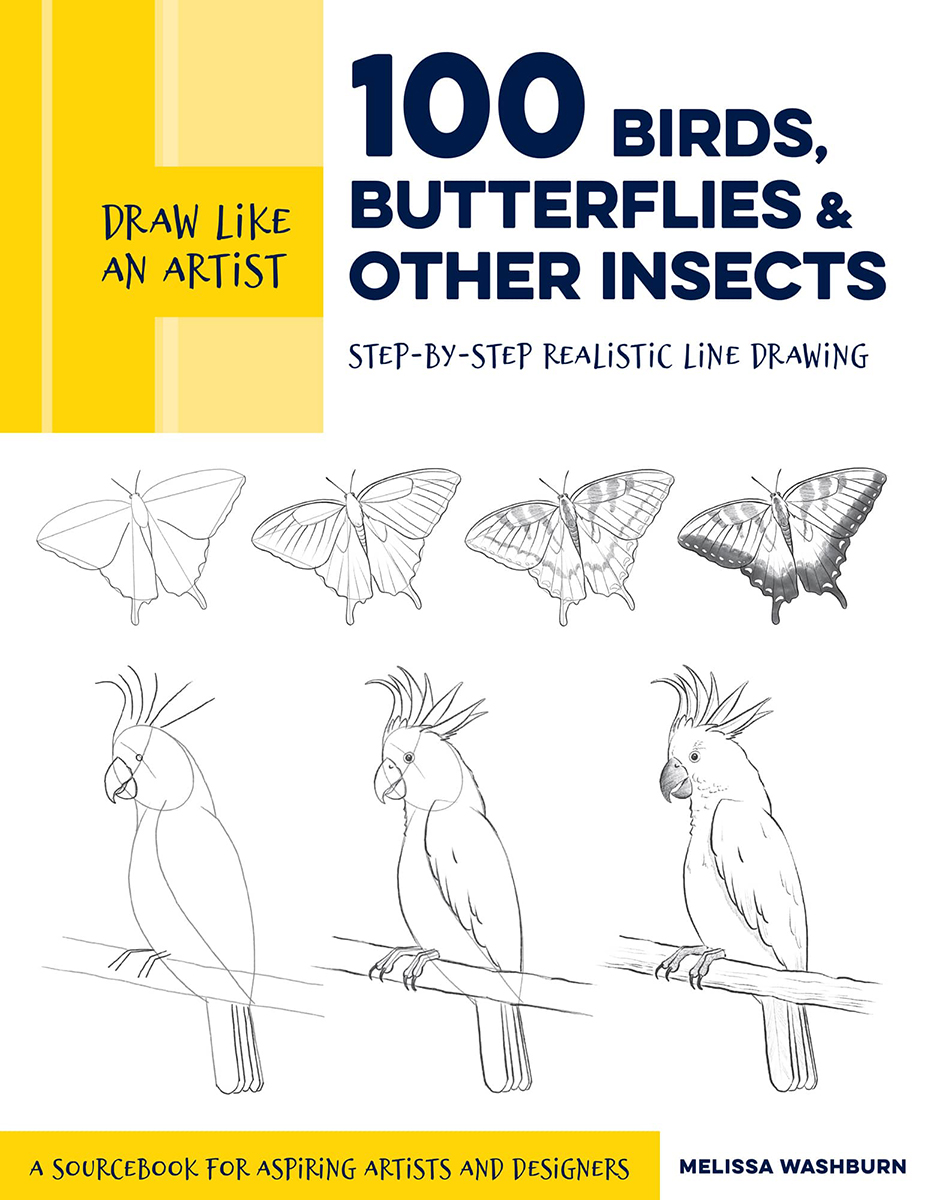 Draw Like an Artist 100 BIRDS BUTTERFLIES OTHER INSECTS Step-by-Step - photo 1