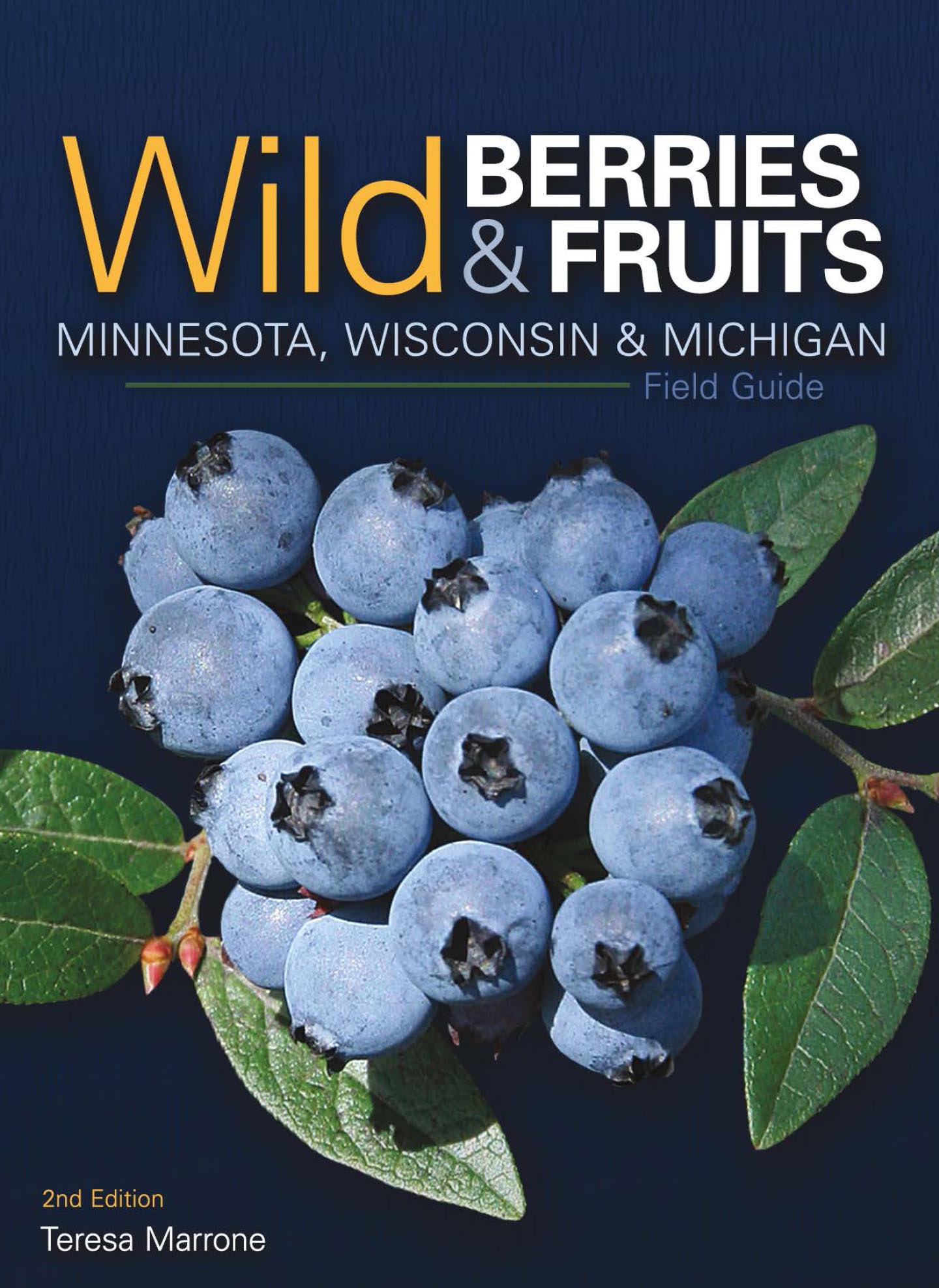 Wild Berries Fruits Field Guide of Minnesota Wisconsin Michigan - image 1