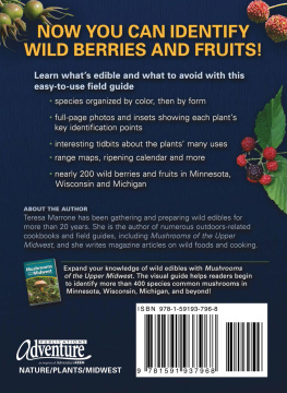 Teresa Marrone - Wild Berries & Fruits Field Guide of Minnesota, Wisconsin & Michigan