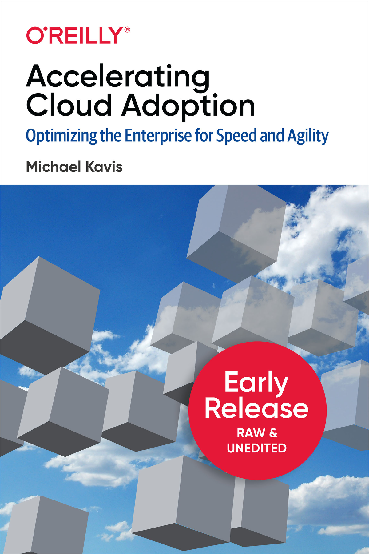 Accelerating Cloud Adoption by Michael Kavis Copyright 2020 Michael J Kavis - photo 1