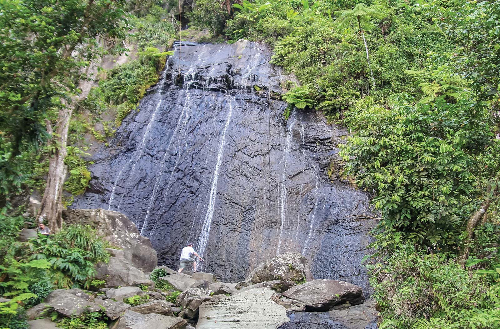 La Coca Falls in El Yunque National Forest Cruceta del Viga in Ponce - photo 5