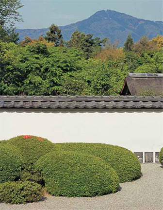 PAGE 1 The perfect shakkei or borrowed view at Shoden-ji Temple - photo 4