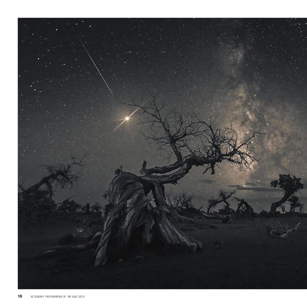 Astronomy Photographer of the Year Collection 8 - photo 17