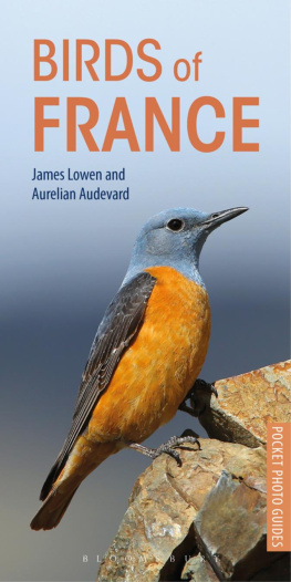 James Lowen - Birds of France