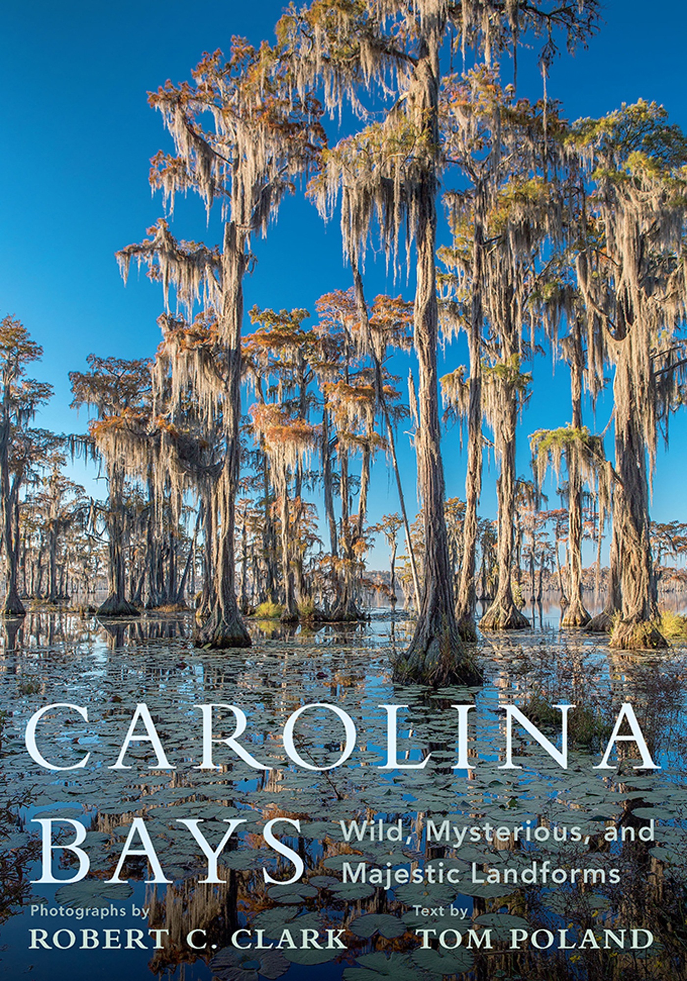 CAROLINA BAYS CAROLINA BAYS Wild Mysterious and Majestic Landforms - photo 1