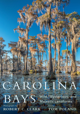 Robert C. Clark - Carolina Bays: Wild, Mysterious, and Majestic Landforms