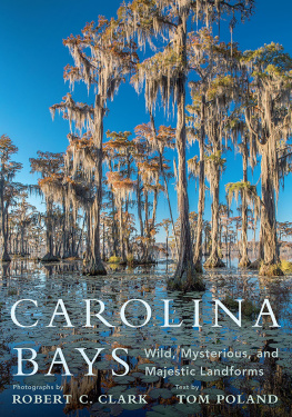 Robert C. Clark Carolina Bays: Wild, Mysterious, and Majestic Landforms