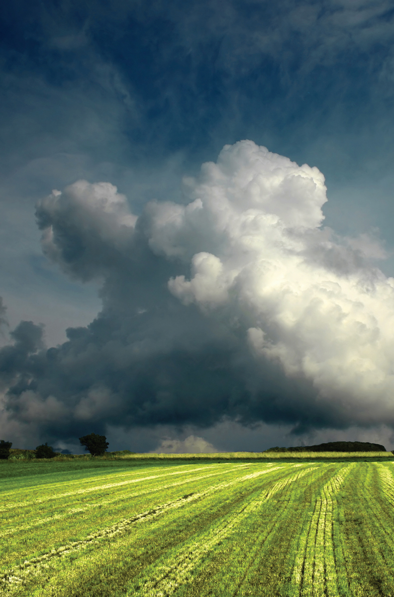 SIGNIFICANT WEATHER I LIVE IN A METEOROLOGICAL NO-MANS-LAND called north-east - photo 7