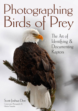 Scott Joshua Dere Photographing Birds of Prey: The Art of Identifying & Documenting Raptors