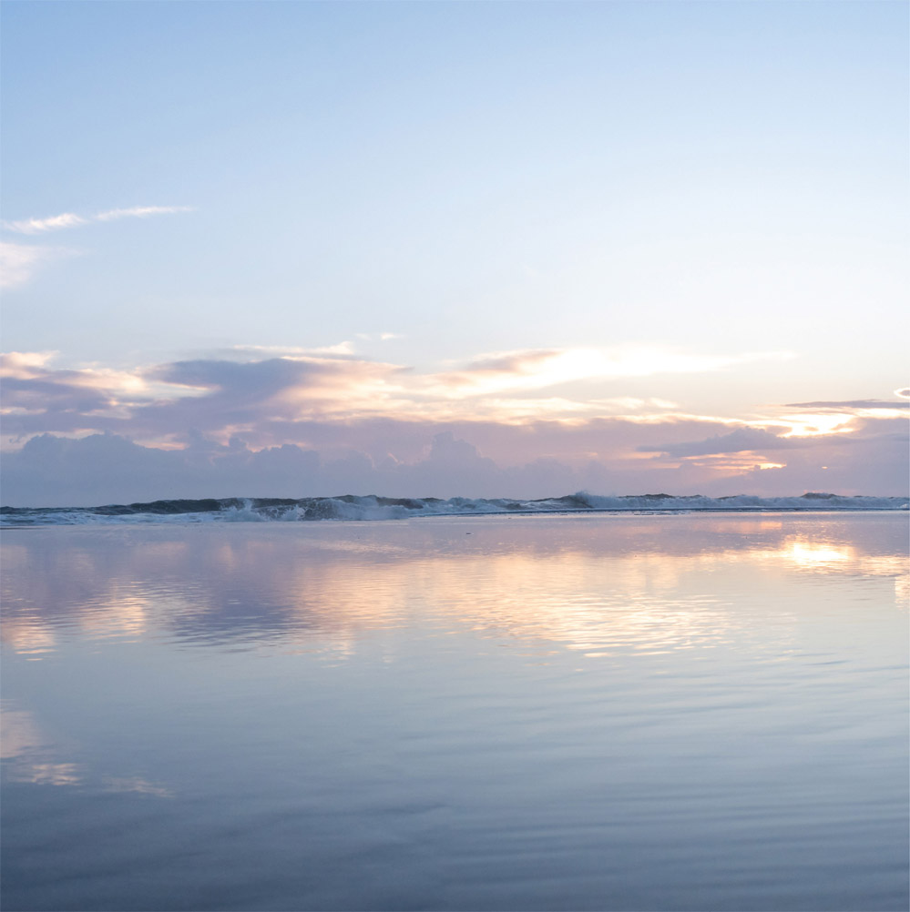 Welcome to the Outer Banks of North Carolina Bridges and beaches co - photo 4