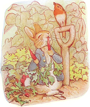 The Tale of Peter Rabbit 1902 Beatrix Potter 18661943 Beatrix Potter an - photo 22