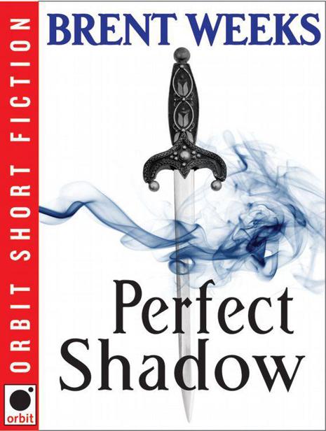 Perfect Shadow - image 1