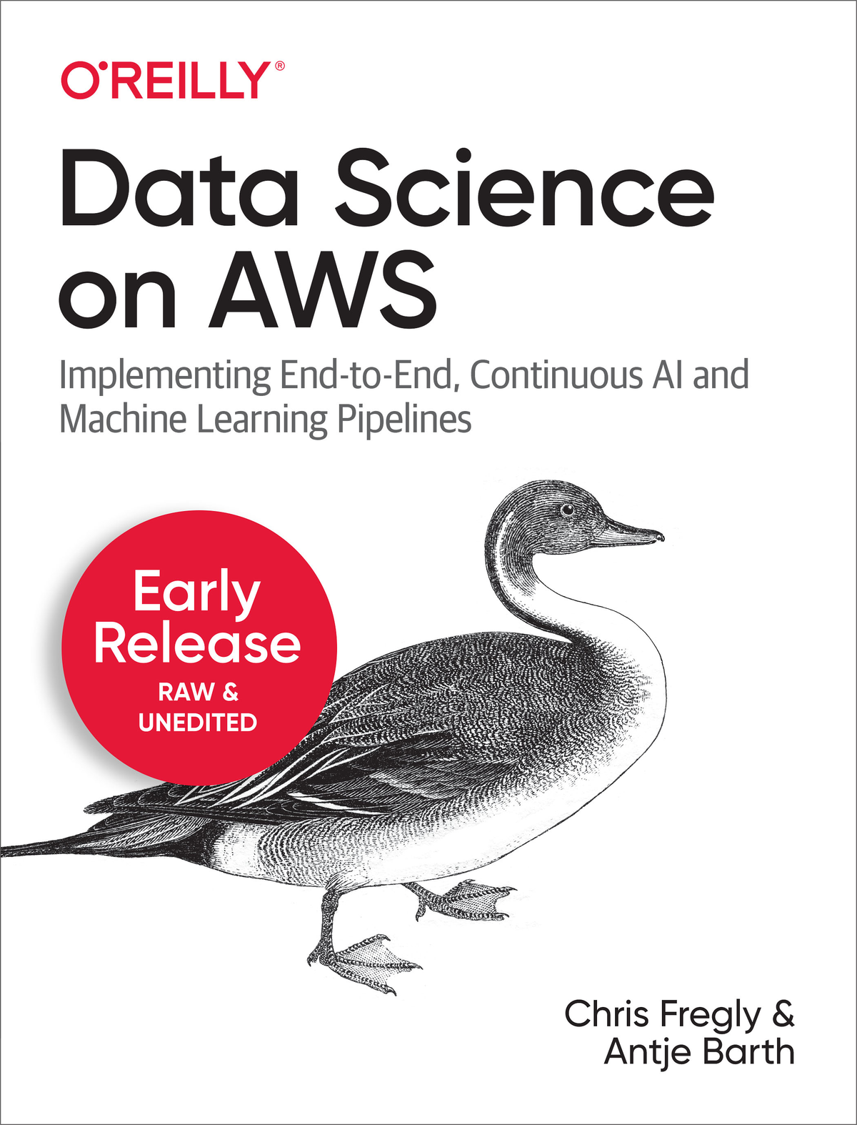 Data Science on AWS by Chris Fregly and Antje Barth Copyright 2021 Antje Barth - photo 1