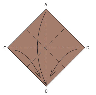 Fold on the existing creases to bring corners C A and D down to B Fold - photo 35