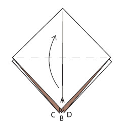 Fold up corner A to the top Turn the paper over bottom to top Fold - photo 36