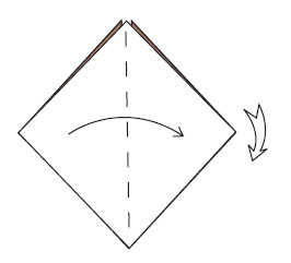 Fold in half left to right and rotate Fold the set of right edges over - photo 38