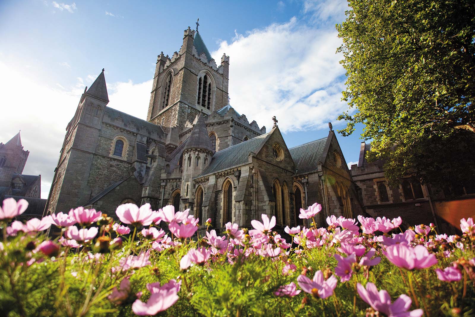 Christ Church Cathedral sits atop Norman crypts and anchors the historic heart - photo 9