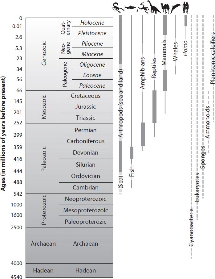 Figure 2 Geologic time scale with time ranges of major organisms discussed in - photo 3
