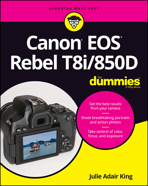 Canon EOS Rebel T8i850D For Dummies - photo 1