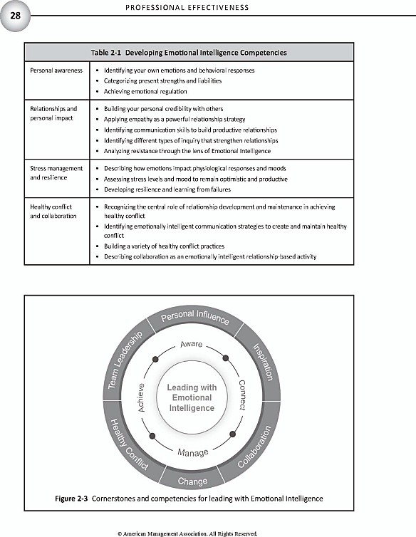 The Management Body of Knowledge - photo 34