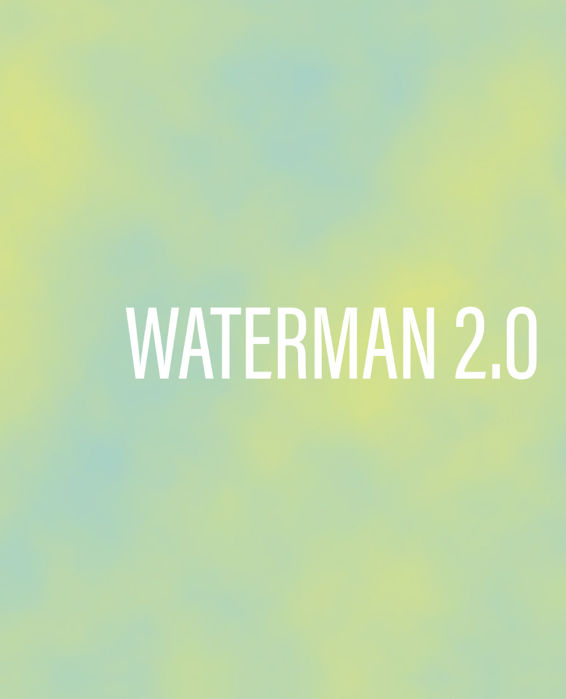 Waterman 20 Optimized Movement for Lifelong Pain-free Paddling Surfing Dr - photo 1