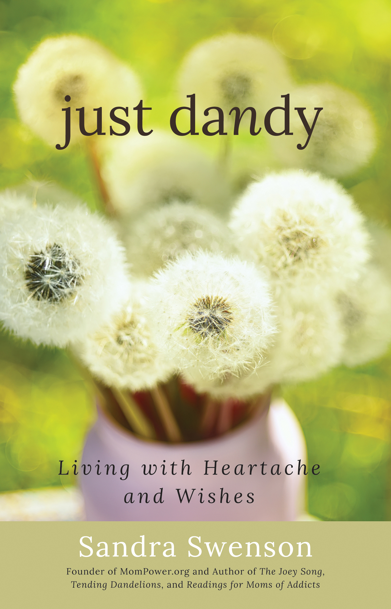 Sandy Swensons book Just Dandy is a wise and intimate portrayal of navigating - photo 1