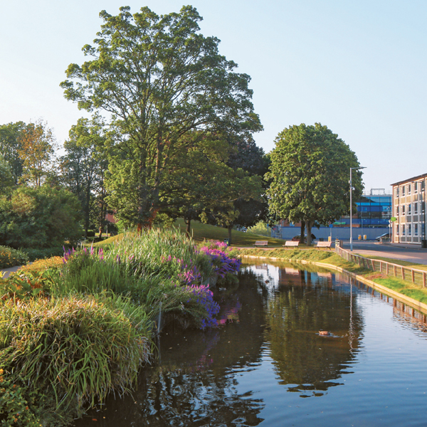 Hemel Water Gardens Hertfordshire CONTENTS Foreword Catherine Croft - photo 3