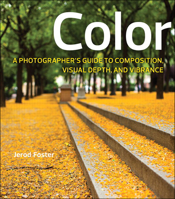 Color A Photographers Guide to Directing the Eye Creating Visual Depth and Conveying Emotion - image 1