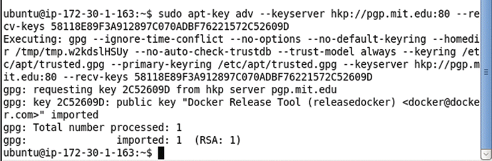 Figure 1-3 Adding a new gpg key Next update the apt sources for the Docker - photo 3