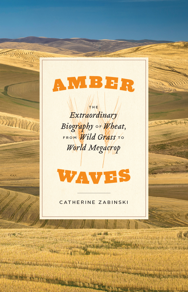 Amber Waves Illustrations by Angela Mele The University of Chicago Press - photo 1