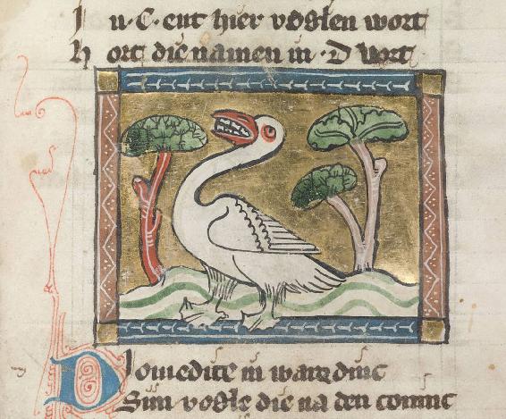 Jacob van Maerlant c12351291 Der Naturen Bloeme c1350 Bird with teeth - photo 3