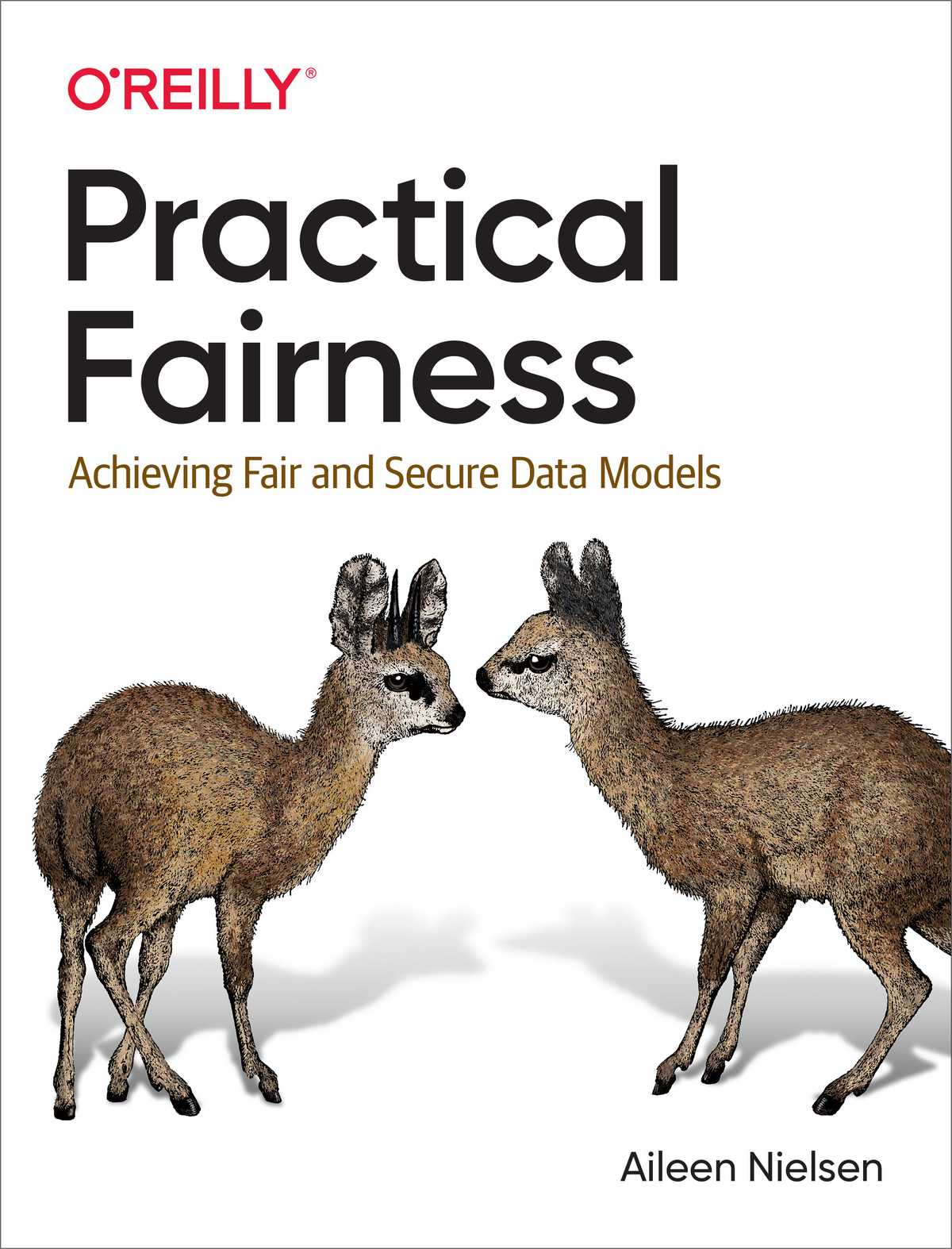 Practical Fairness by Aileen Nielsen Copyright 2021 Aileen Nielsen All rights - photo 1