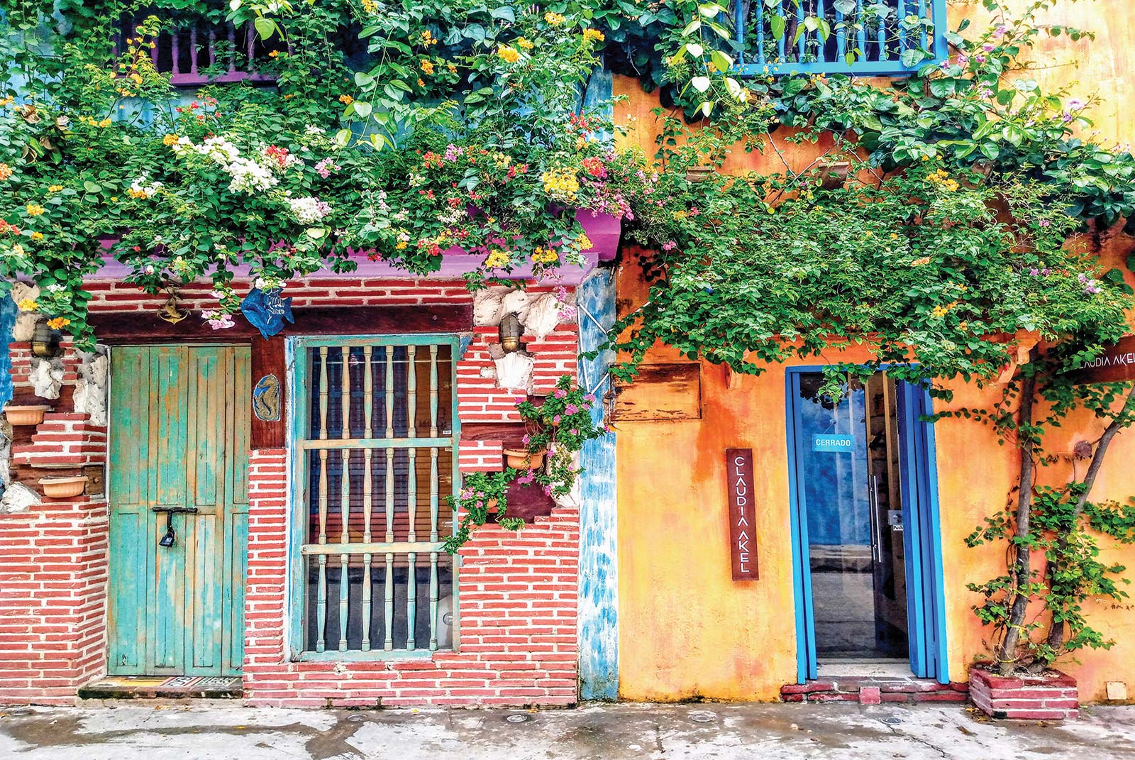 bougainvillea-covered house in Cartagena Johnny Cay Colombia is a - photo 6