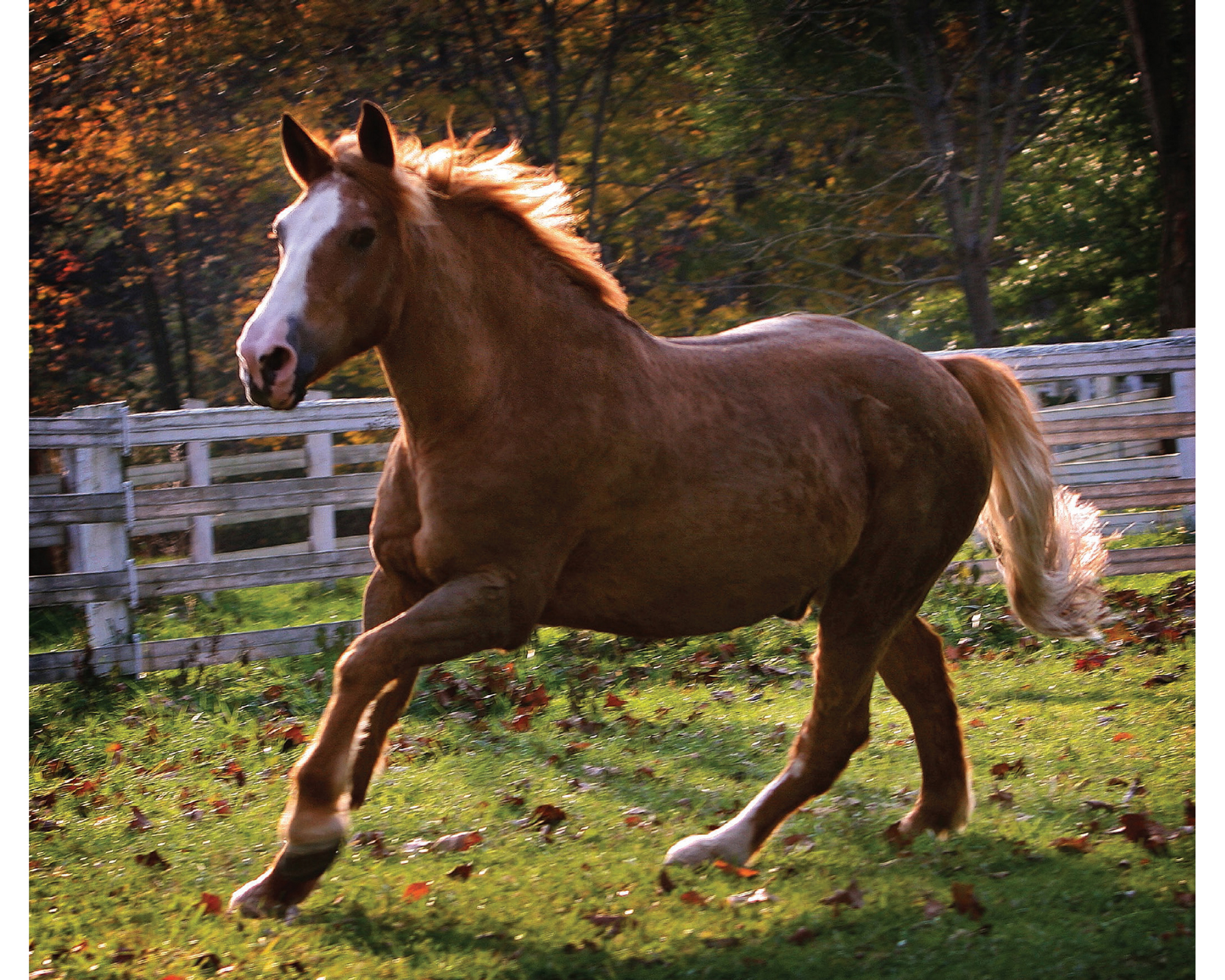 Barbara Bower is a graduate of the Rhode Island School of Photography and she - photo 4