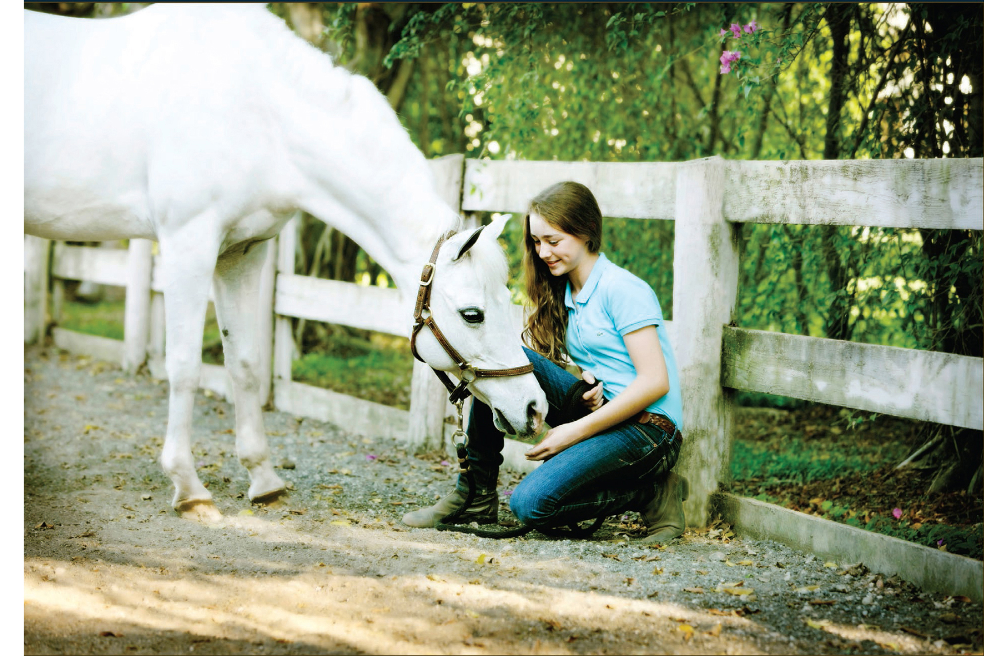 A UNIFIED APPROACH Sometimes horses will turn their heads to look at something - photo 9