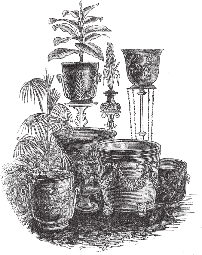 POTTED HISTORY How Houseplants Took Over Our Homes CATHERINE HORWOOD - photo 2