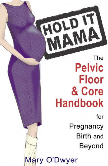 HOLD IT MAMA THE PELVIC FLOOR AND CORE HANDBOOK FOR PREGNANCY BIRTH BEYOND - photo 1