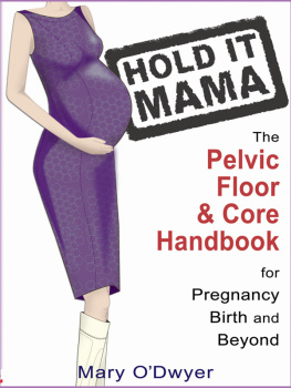 Allingham Maggie - Hold It Mama: the Pelvic Floor and Core Handbook for Pregnancy, Birth and Beyond