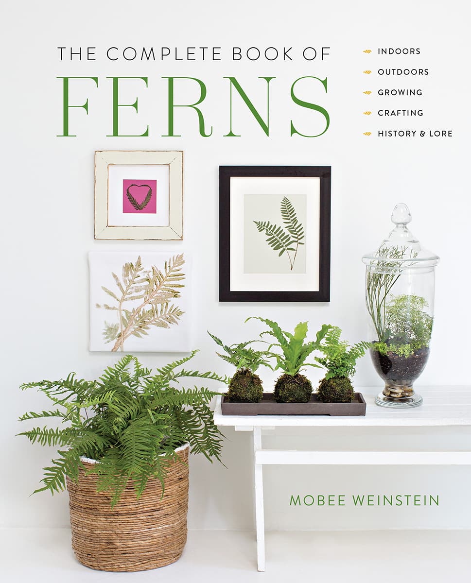 THE COMPLETE BOOK OF FERNS INDOORS OUTDOORS GROWING CR - photo 1