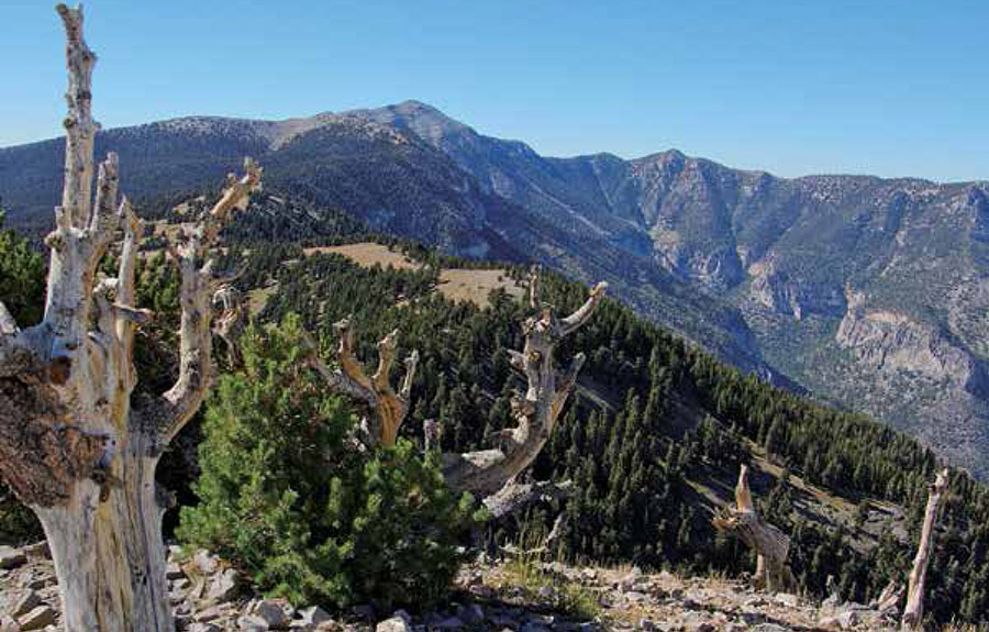 Charleston Peak flanked by the ridges above Kyle Canyon is seen from Griffith - photo 3