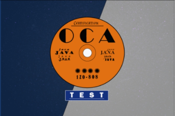 Java Certification OCA 1Z0-808 Exam Simulation 2019 280 multiple choice - photo 5