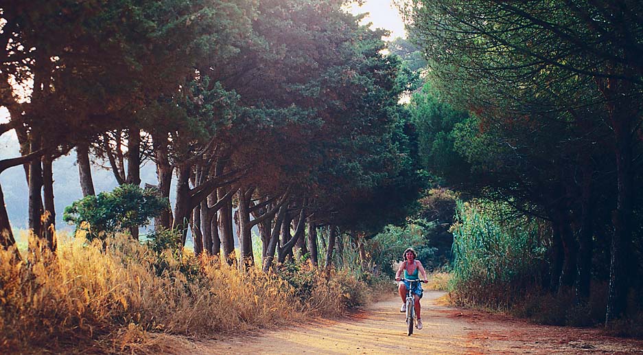 Cycling along a sandy track le de Porquerolles DAVID C TOMLINSONGETTY - photo 5