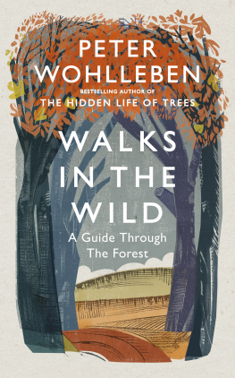 Kemp Ruth Ahmedzai - Walks in the wild: a guide through the forest