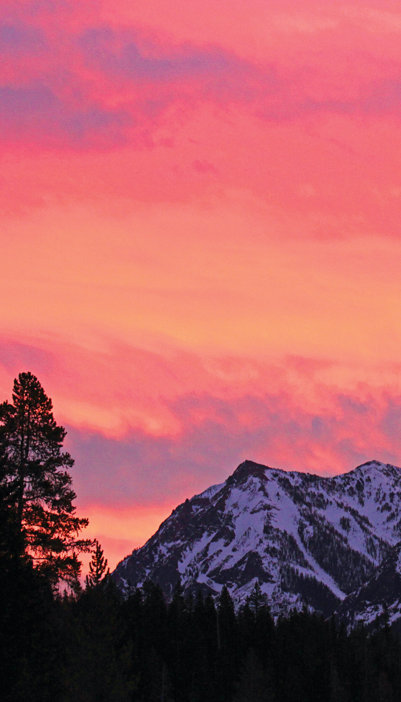 Sunrise in Soda Butte Valley Yellowstone CONTENTS The slopes of - photo 5