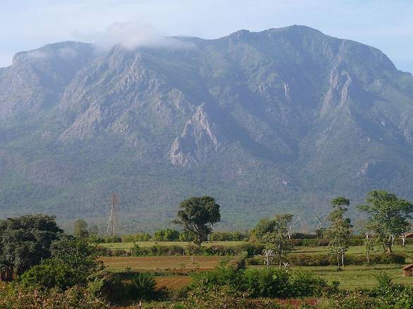 Nilgiri Hills from Masinangudi TO MISS ELIZABETH STISTED This little work - photo 14