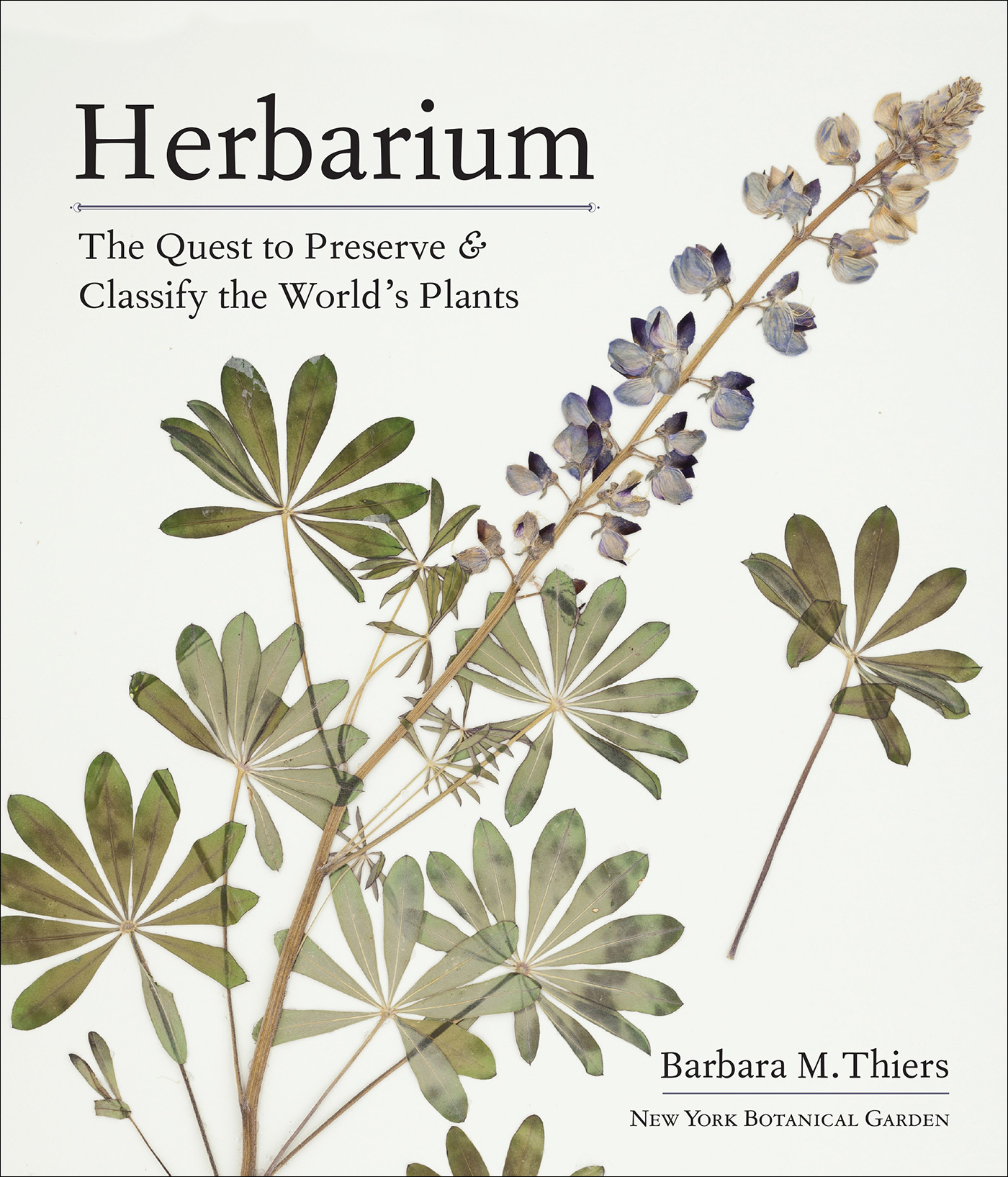 Herbarium The Quest to Preserve Classify the Worlds Plants Barbara M Thiers - photo 1