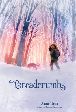 Anne Ursu - Breadcrumbs