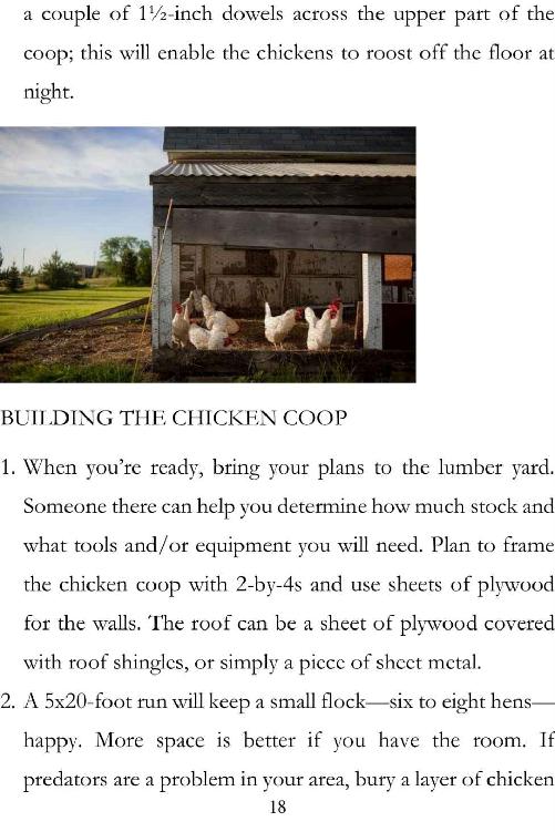 Backyard Chickens Guide to Raising and Breeding Chickens Raising Chickens for Beginners - photo 19