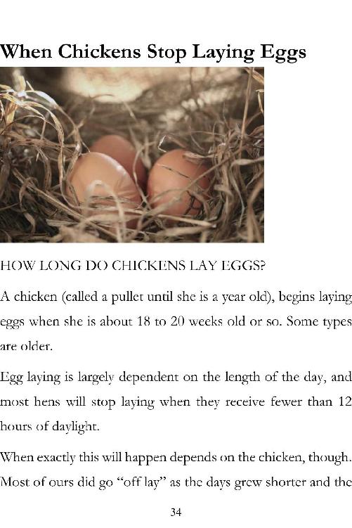 Backyard Chickens Guide to Raising and Breeding Chickens Raising Chickens for Beginners - photo 35