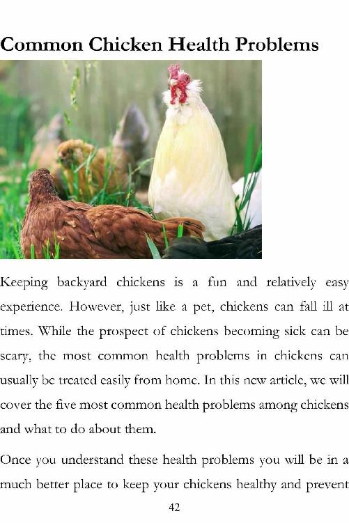 Backyard Chickens Guide to Raising and Breeding Chickens Raising Chickens for Beginners - photo 43